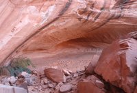 IMG_9918.jpg