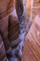 IMG_8269.jpg