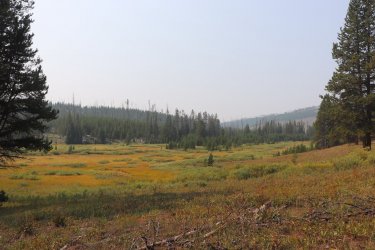 IMG_1173.jpg