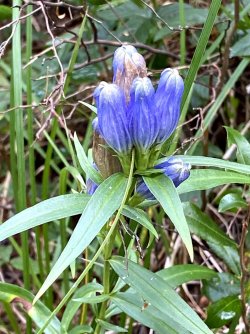 IMG_8982.jpg