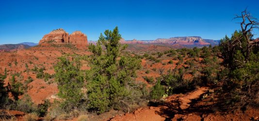 93A294F7-B403-41B2-BCAE-180715E7C1D6.jpeg