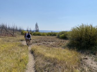 C7402AED-1B90-4067-93BE-E871CC9C3EF9.jpeg