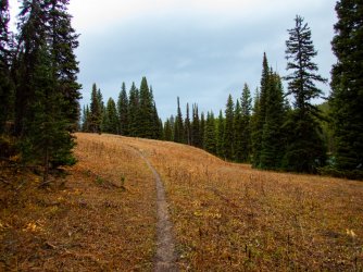YNP_Day-8_Basin_Cr_Lake_trail.jpg