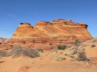 IMG_9553.jpg