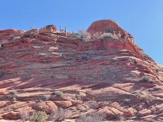 IMG_9446.jpg