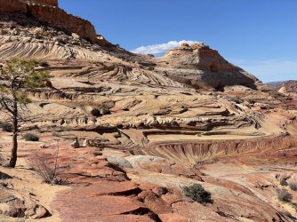 IMG_9409.jpg