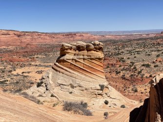 IMG_9269.jpg