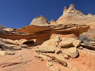IMG_9273.jpg
