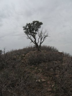 05.jpg