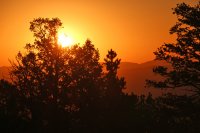 IMG_9632.jpg
