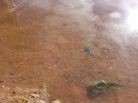 20130929_165914.jpg