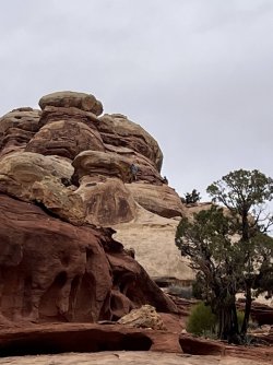 IMG_9729.jpg