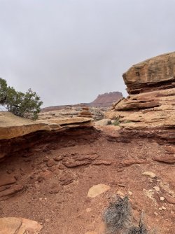IMG_9698.jpg