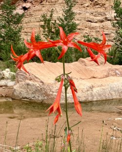 IMG_3549.jpg