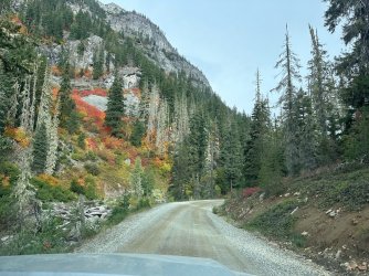 IMG_6192.jpg