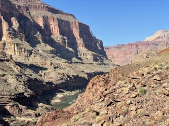 IMG_9262.jpg