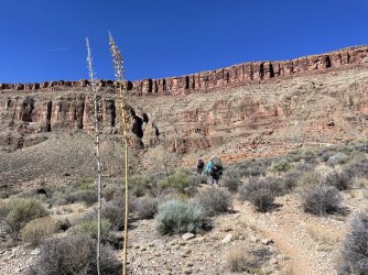 IMG_0018.jpg