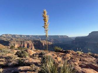 IMG_0115.jpg