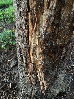 IMG_4505.jpeg
