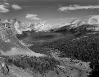 FOMA_100_0579.jpg