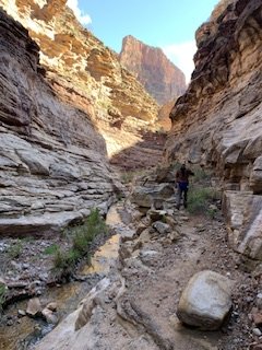 IMG_4011.jpeg