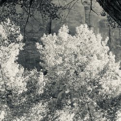 IMG_5366.jpeg