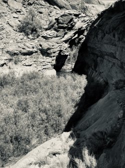 IMG_5389.jpeg