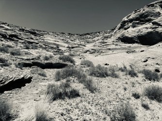 IMG_5409.jpeg