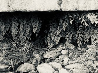 IMG_5422.jpeg