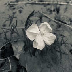 IMG_5435.jpeg