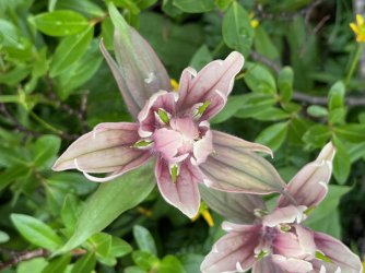 IMG_1881.jpg