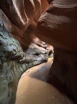IMG_4875.jpeg