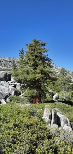 Bell_Meadow_Trail.jpg