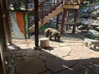 IMG_3682.jpeg