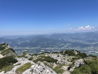 IMG_1470.jpeg