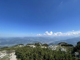 IMG_1468.jpeg