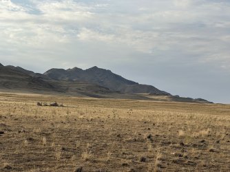 IMG_4082.jpg