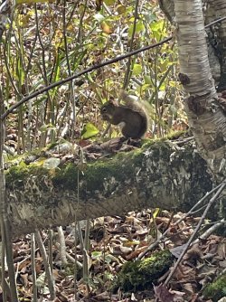 IMG_9907.jpeg