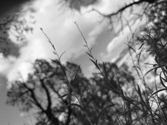 IMG_7502.jpeg
