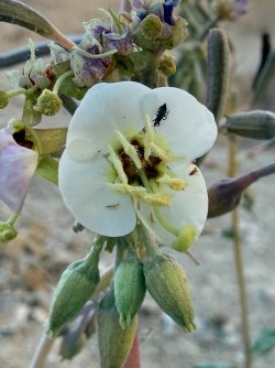 IMG_1408.jpeg