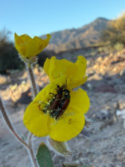 IMG_0605.jpeg