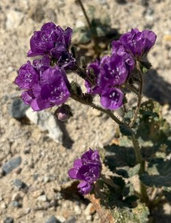 IMG_0156.jpeg