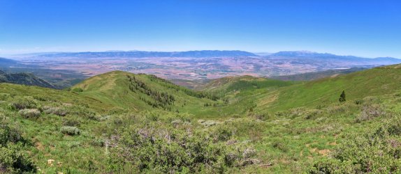 IMG_7878_stitch.jpg