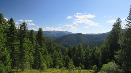 IMG_2174.JPG