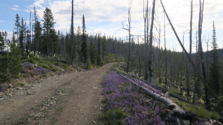 IMG_2184.JPG