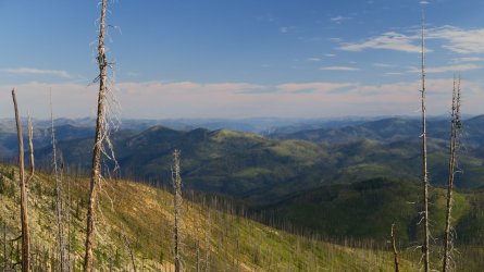 IMG_2194.JPG