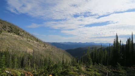 IMG_2195.JPG