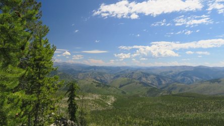 IMG_2220.JPG