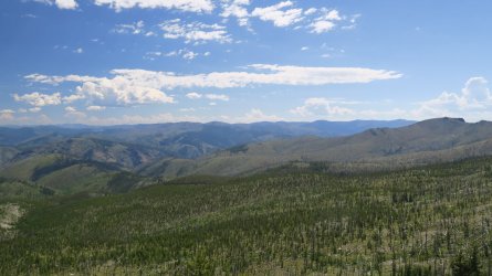 IMG_2221.JPG