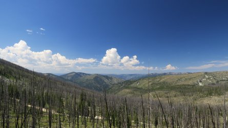 IMG_2222.JPG
